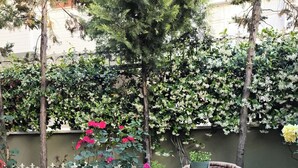 Un patio al aire libre con una mesa redonda y sillas de mimbre, rodeado de macetas con plantas y arbustos florecientes.