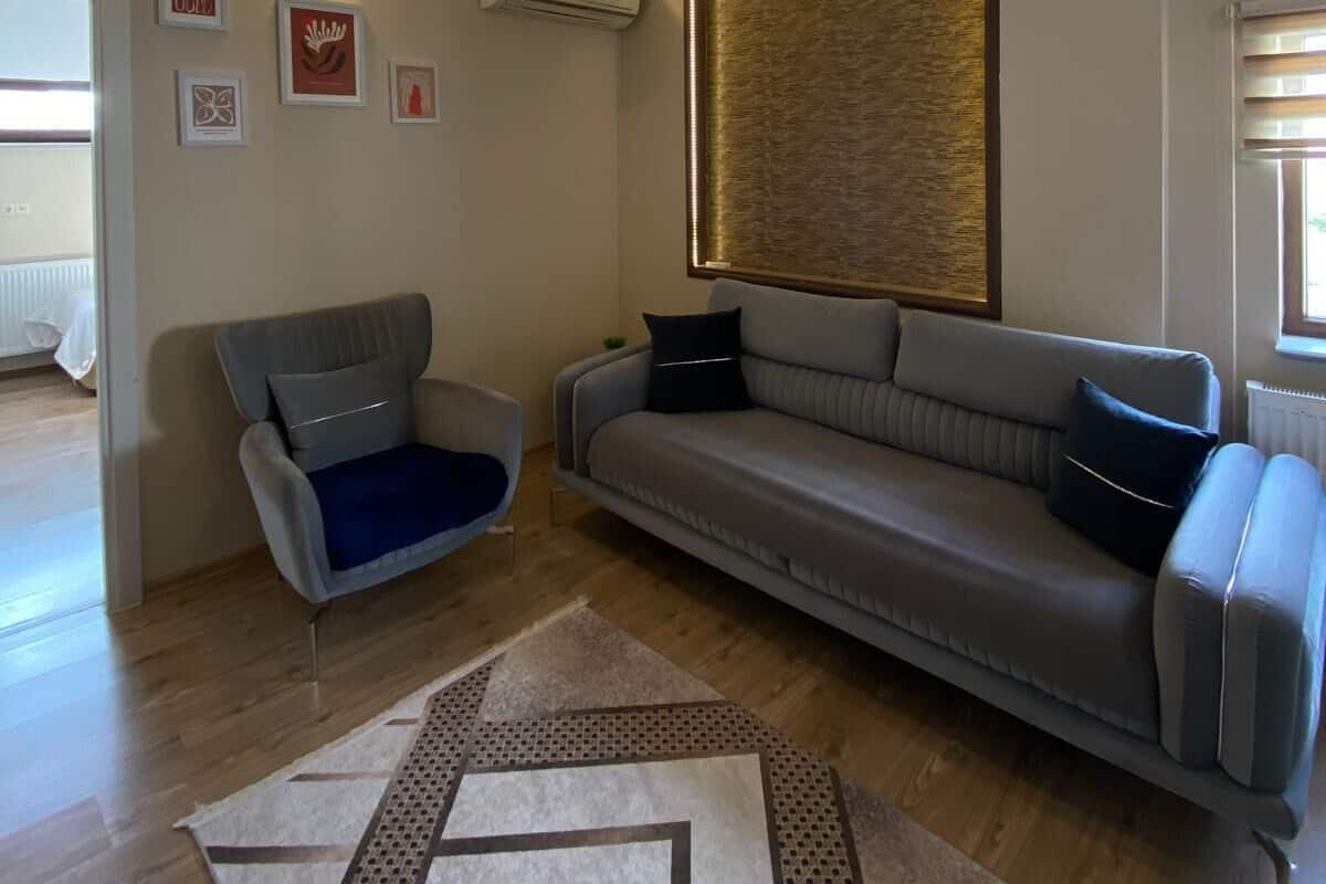 A modern living room with a grey sofa, a blue armchair, and a patterned rug.