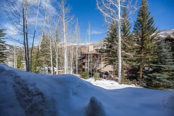 A snow-covered landscape with trees and a building in the background.