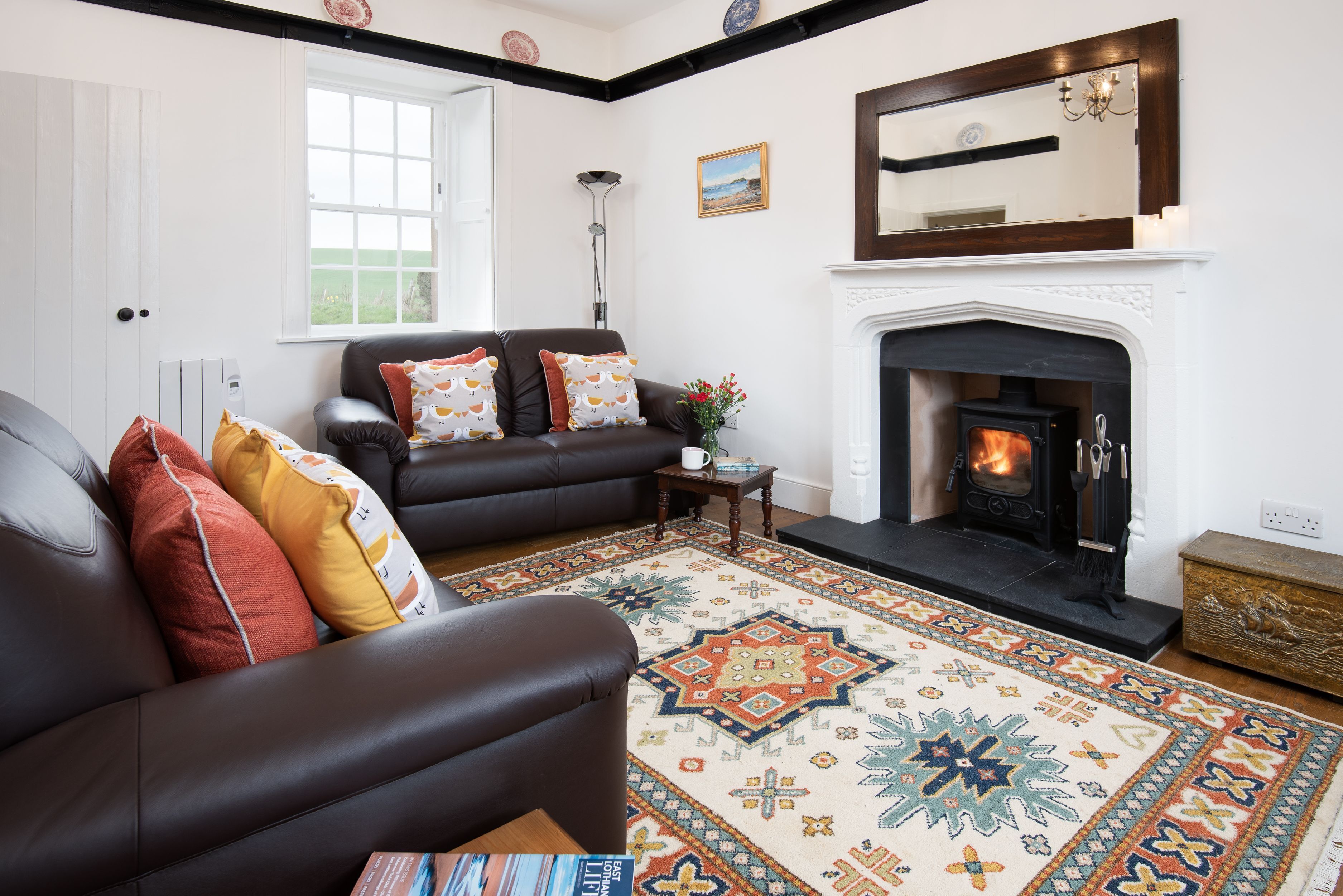 TV, DVD player, books