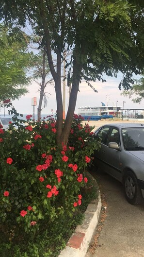 Exterior - Ada Pansiyon (Cinarcik)