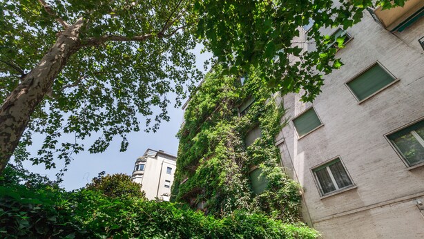 A building with multiple windows and a tree in the foreground. - easyhomes - Majno (Milan)