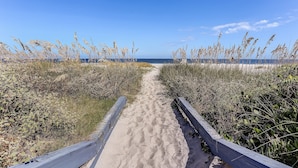 Un sendero arenoso bordeado por pastos altos que conduce a la playa.