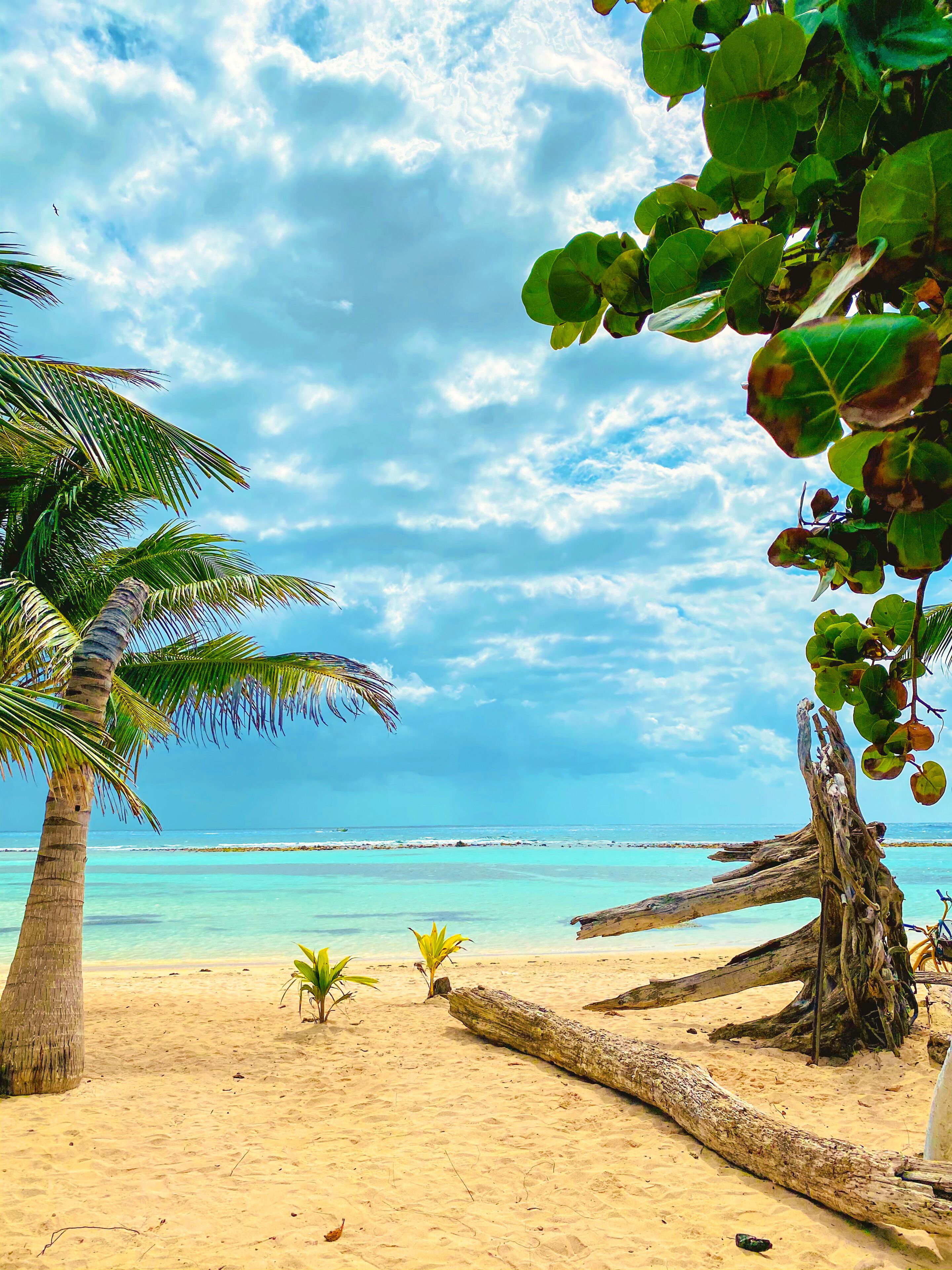 Private beach