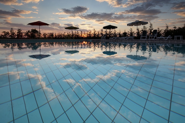 Outdoor pool, sun loungers