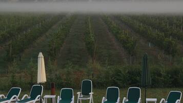 A poolside area with lounge chairs and umbrellas, overlooking a vineyard.