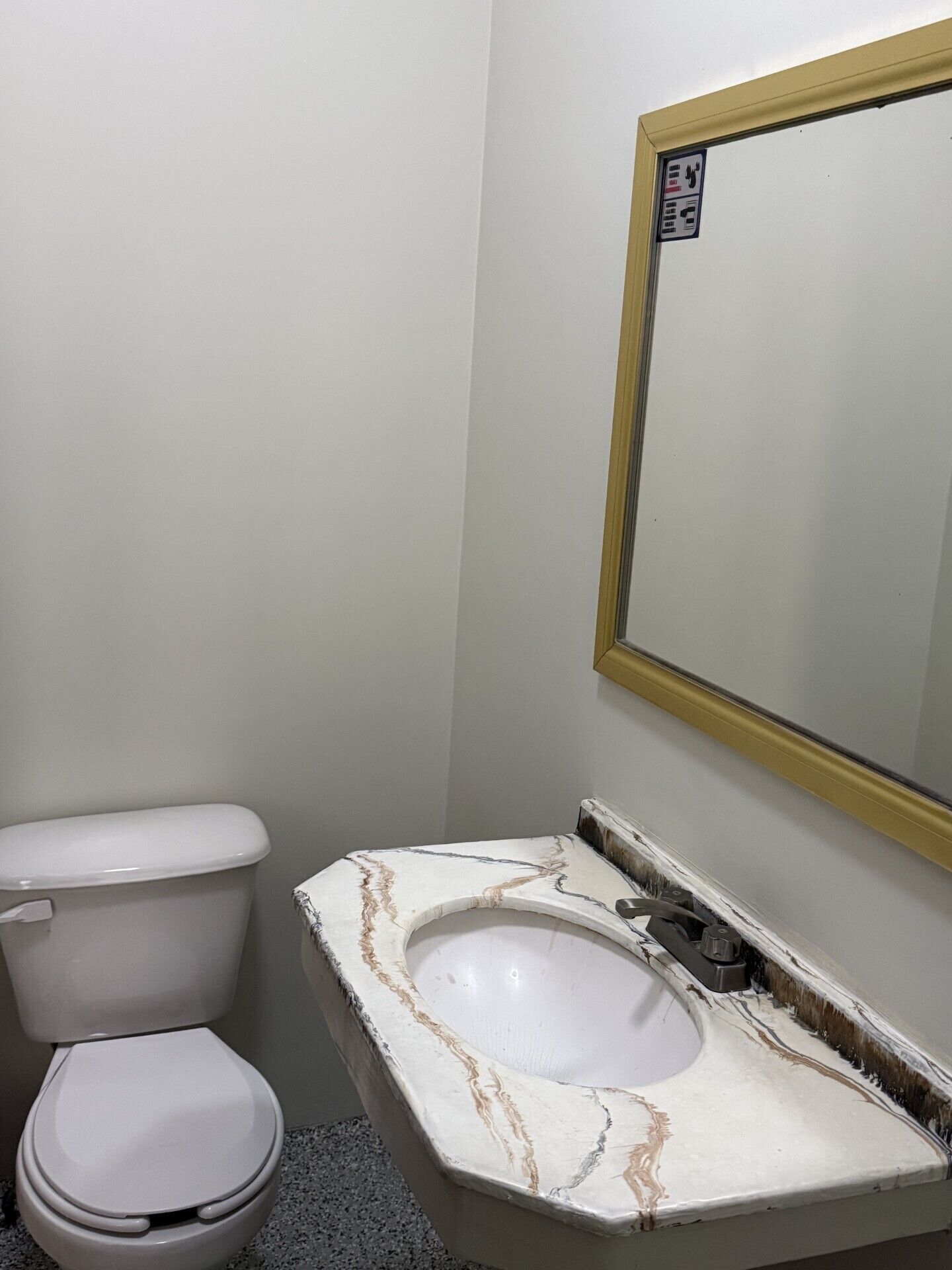 A bathroom with a toilet, a marble sink, and a mirror with a gold frame.