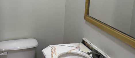A bathroom with a toilet, a marble sink, and a mirror with a gold frame.