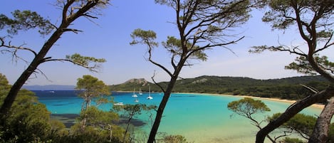 Una spiaggia nelle vicinanze