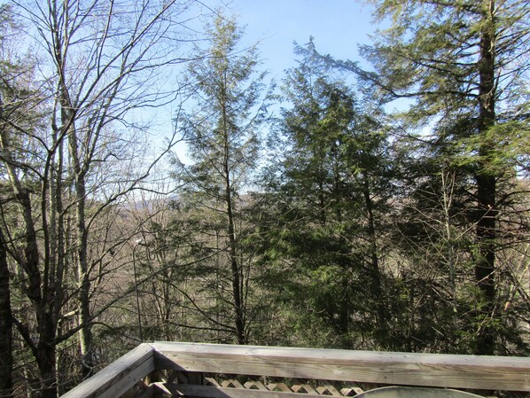 Condo, 3 Bedrooms | Balcony view - Briarcliff C_11 3 Bedroom Condo by RedAwning (Banner Elk)