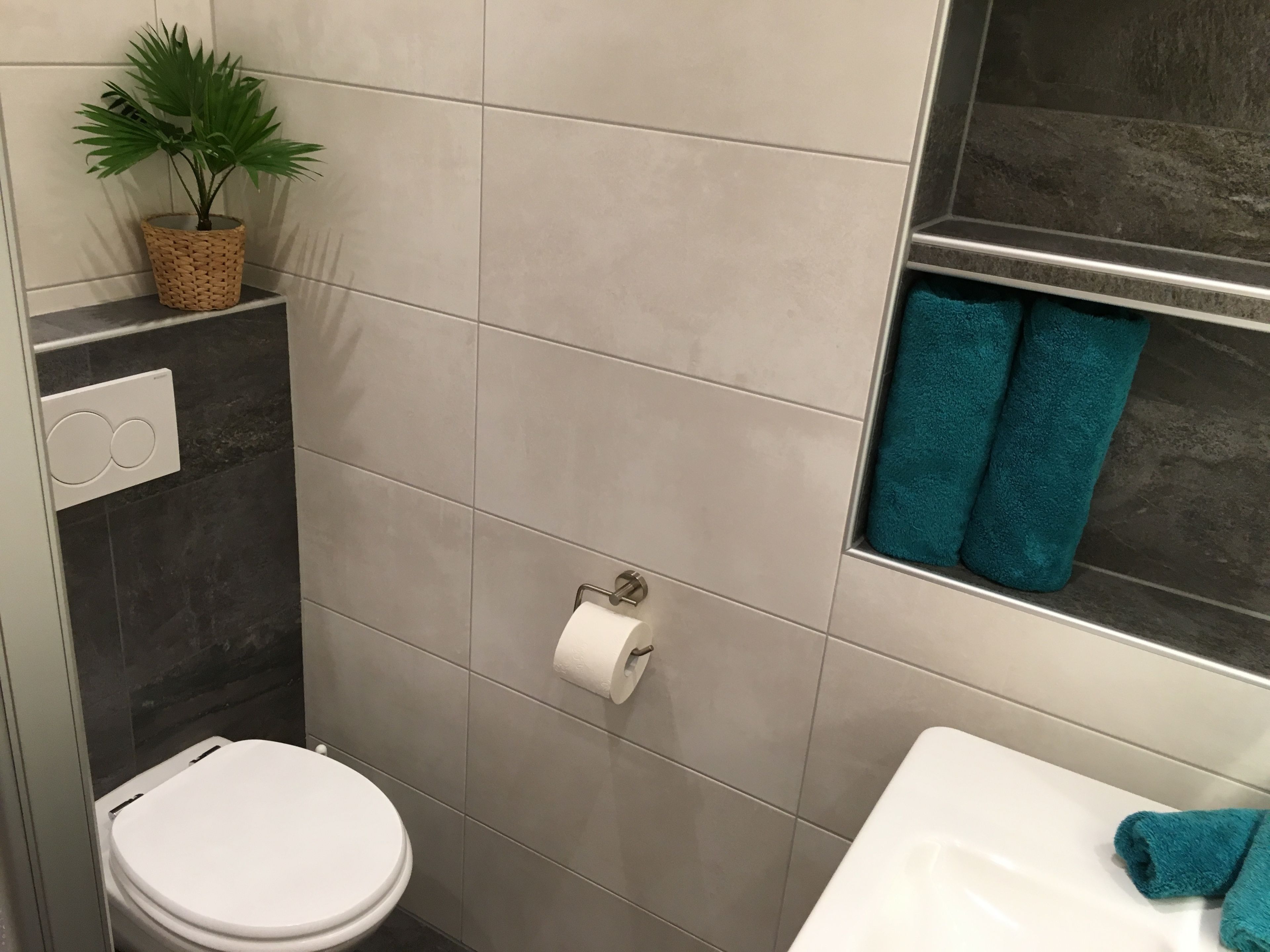A bathroom with a toilet, a sink, a towel rack with towels, a potted plant, and a toilet paper holder.