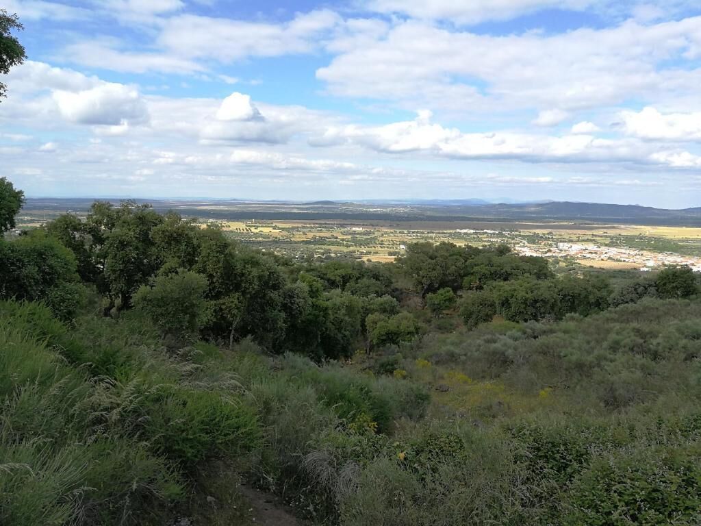 Paisaje natural con vegetación densa y una vista distante de un pueblo.