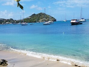 Beach nearby, white sand - Rosa Guesthouse (Hillsborough)