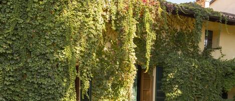 Luxe kamer | Uitzicht op de tuin