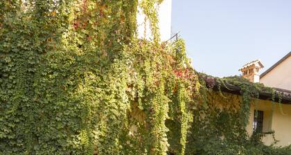 Bed & Breakfast Palazzo Sismonda