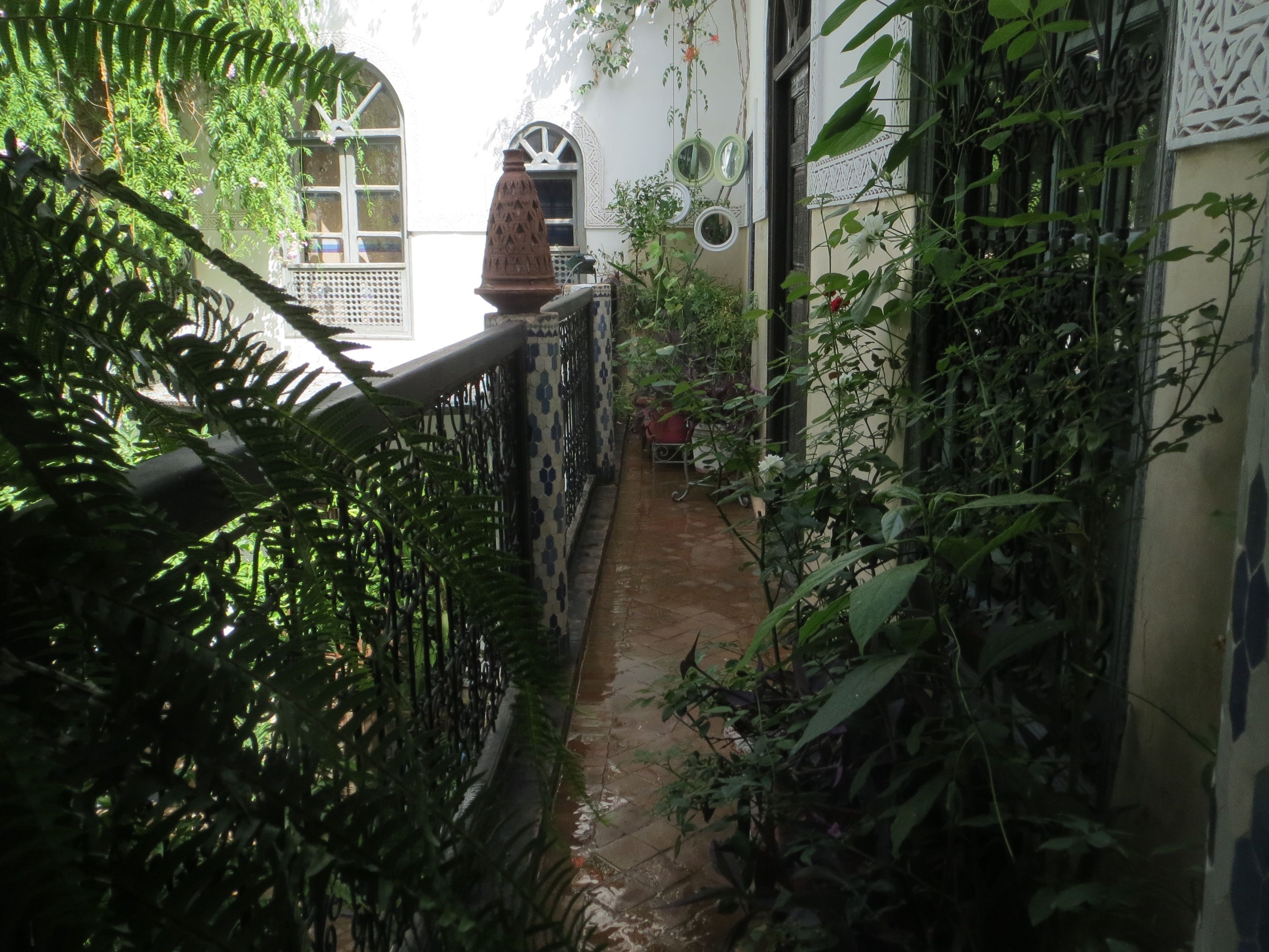 Foto - Riad Maizie