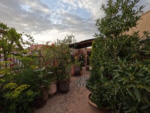 Garden - Riad Maizie (Marrakech)
