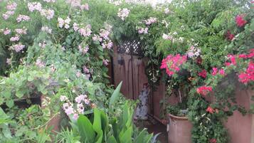 Uitzicht vanuit accommodatie