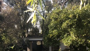 Terrace/patio - Bella b (Sandton)