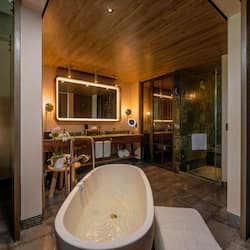 Tina y regadera independientes, tina profunda, regadera tipo lluvia