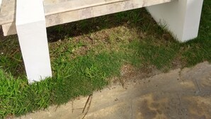Comfort-Apartment | Terrasse/Patio