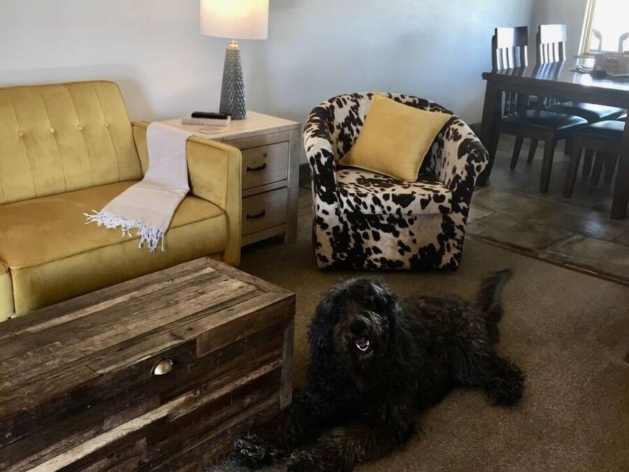 Suite Deluxe, 1 letto king, non fumatori (Pet Friendly) | Biancheria da letto di alta qualità, materassi a doppio strato
