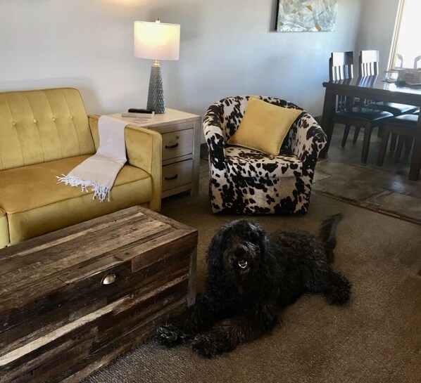 A living room with a yellow sofa, a patterned armchair, a wooden coffee table, and a black dog lying on the floor. - Entrada Escalante Lodge (Escalante)