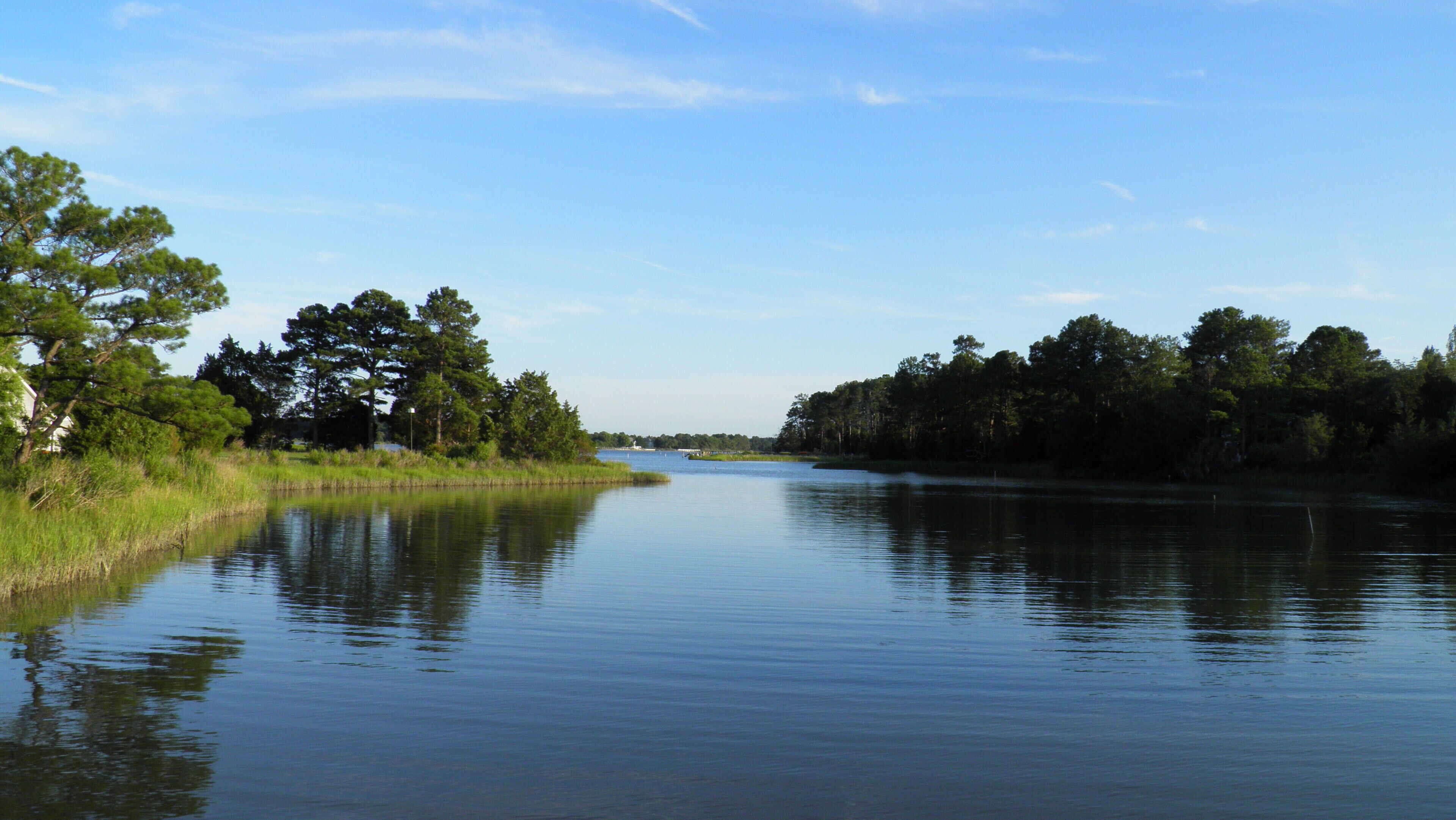 A calm river with trees on both sides and a clear sky.