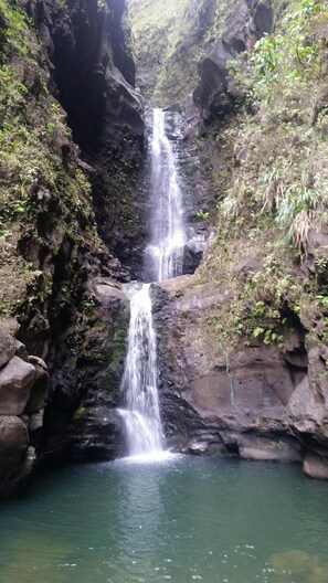 Pool - Among the Closest Homes to Poipu Beach • 3BR/3BA w/ AC & Partial Ocean View (Koloa)