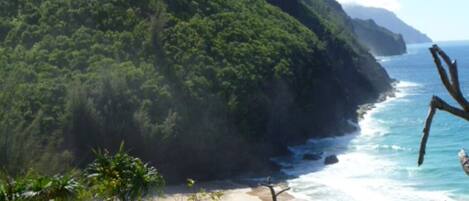 Plage à proximité, chaises longues, serviettes de plage