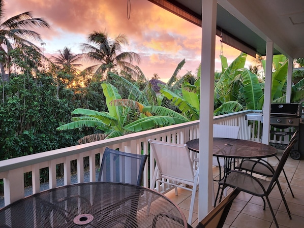 A balcony with a view of a sunset, surrounded by lush greenery and palm trees.