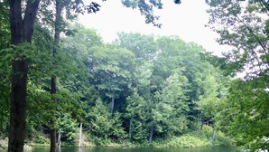 Un muelle de madera se adentra en un lago tranquilo rodeado de un bosque denso.