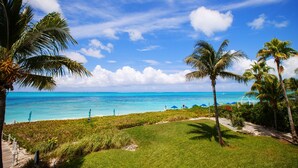 A tropical beach with palm trees, clear blue water, and a grassy area with a pathway. - Relax in your very own private paradise (Providenciales)