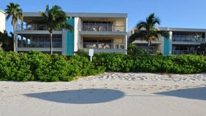 A beachfront hotel with a sandy beach, palm trees, and a clear blue sky. - Relax in your very own private paradise (Providenciales)