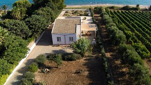 A coastal property with a vineyard, a small house with a tiled roof, and a beach in the background.
