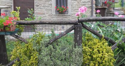 Maison avec jardin (Florance et Arezzo)