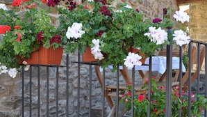 Un mur de pierre agrémenté de jardinières et une clôture en métal.