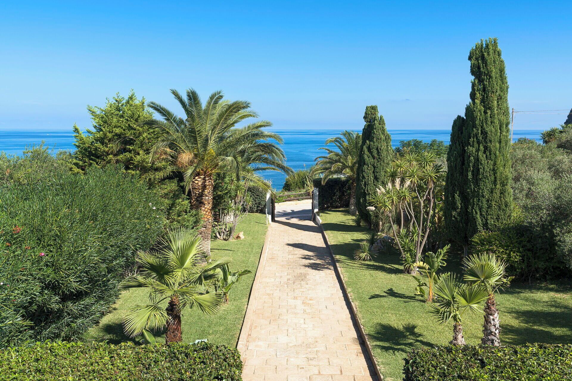 A paved pathway leading to a beach, surrounded by palm trees and cypress trees.