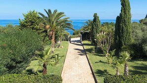 A paved pathway leading to a beach, surrounded by palm trees and cypress trees. - Panoramic villa with pool in front of the beach (Scopello)