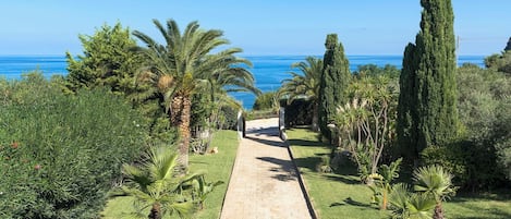 A paved pathway leading to a beach, surrounded by palm trees and cypress trees.