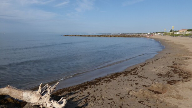 A beach with a rocky breakwater, sandy shore, and a clear sky.