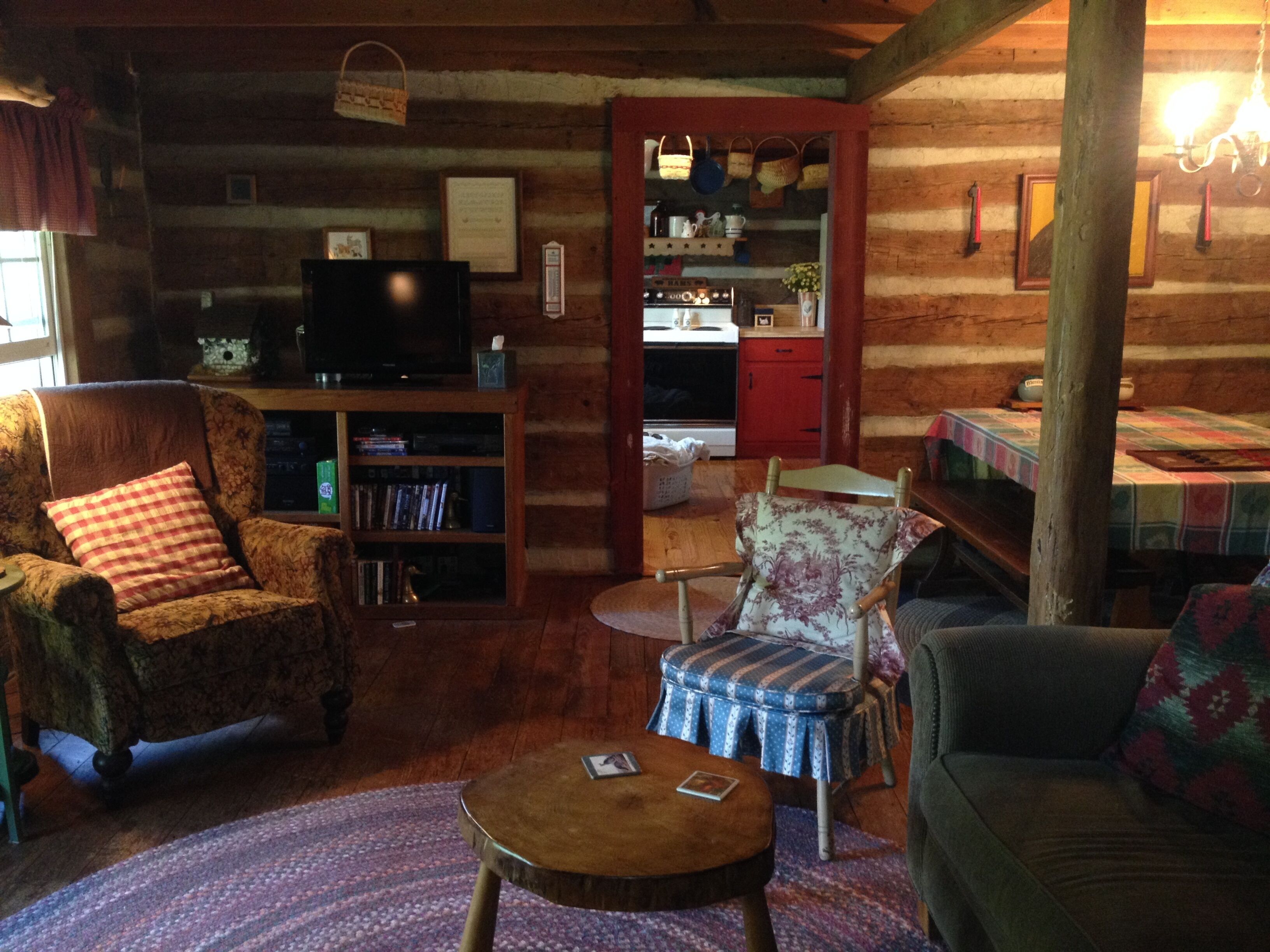 TV connectée, cheminée, lecteur de DVD, livres