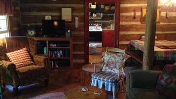 TV connectée, cheminée, lecteur de DVD, livres