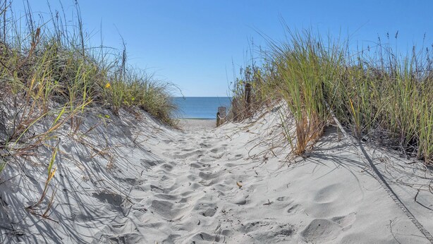 A sandy beach path leading to the ocean, surrounded by tall grasses. - Beechouse: Oceanfront Condo with Great Views, Community Pool, Near Golf Course (Caswell Beach)