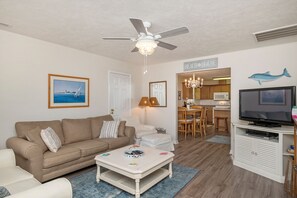 Fernseher, DVD-Player, Bücher