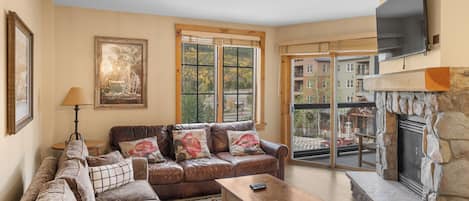 TV, fireplace, DVD player, books