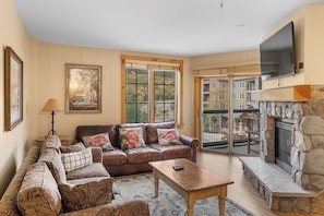 TV, fireplace, DVD player, books