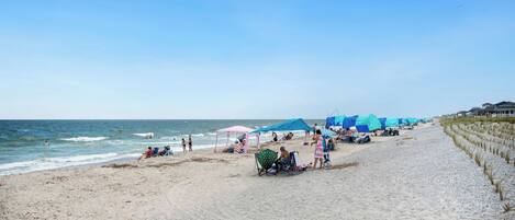 On the beach