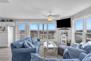 TV, DVD player, books, video library