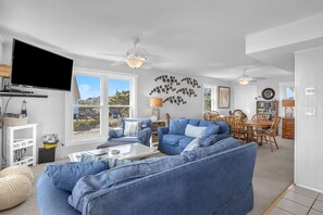 TV, DVD player, books, video library